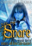 TheSnare